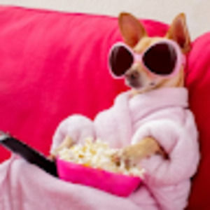 Meet your Posher, Braedi